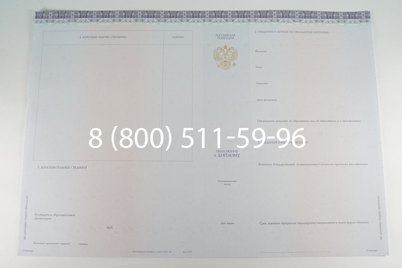 Диплом бакалавра (Киржач) 2014-2024 года в Новошахтинске Диплом бакалавра (Киржач) 2014-2024 года в Новошахтинске