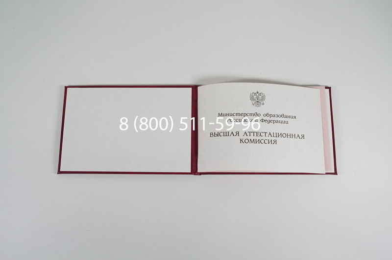 Диплом доктора наук 1995-2006 года в Новошахтинске